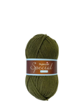 Stylecraft Special Chunky Knitting Yarn 100g