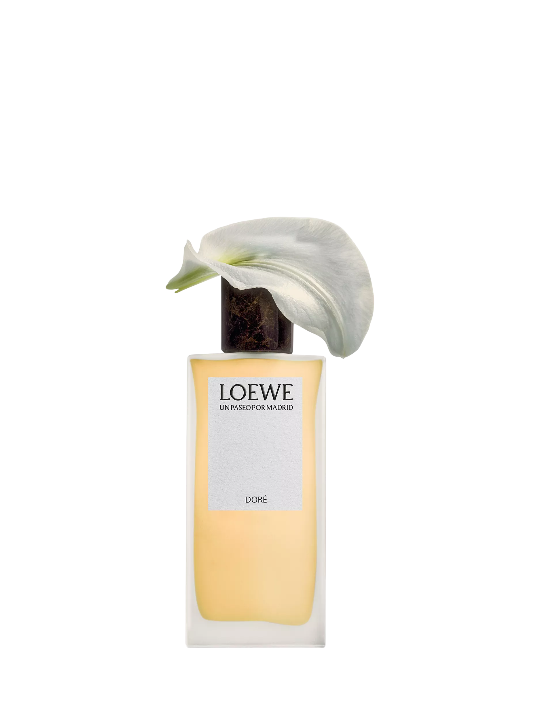 LOEWE Doré eau de parfum 100ml, UK version