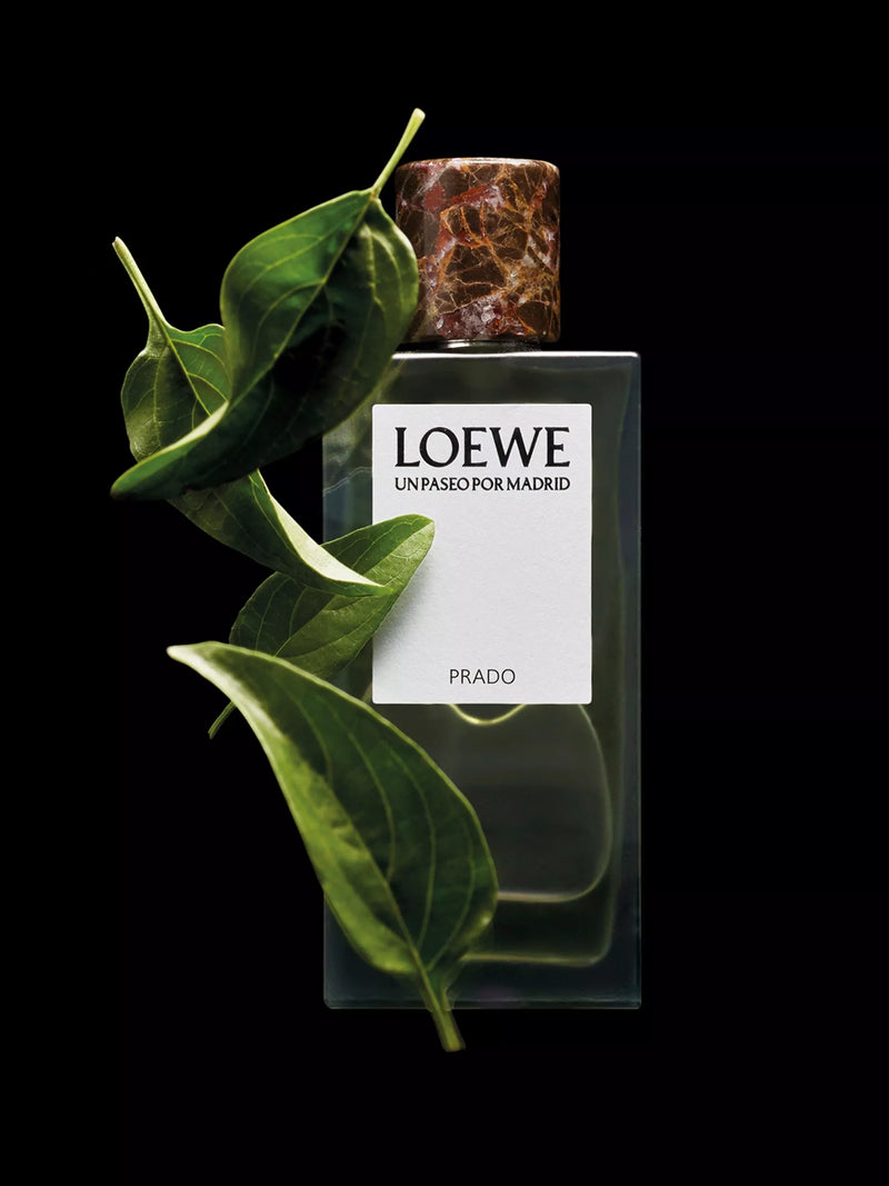 Loewe Un Paseo por Madrid Prado eau de parfum 100ml, UK version