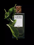 Loewe Un Paseo por Madrid Prado eau de parfum 100ml, UK version