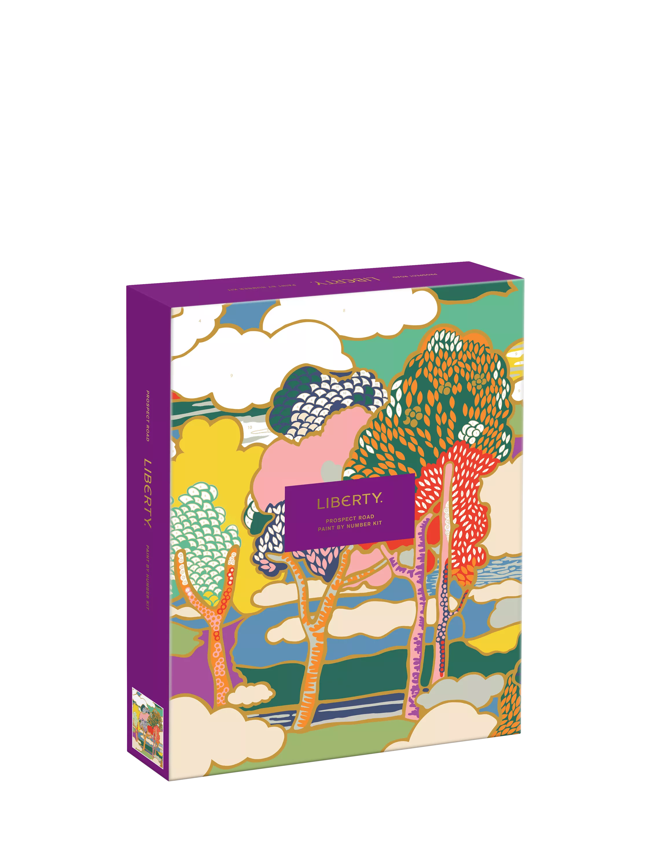 Galison Liberty print paint by numbers kit 30x24cm, imported from the UK