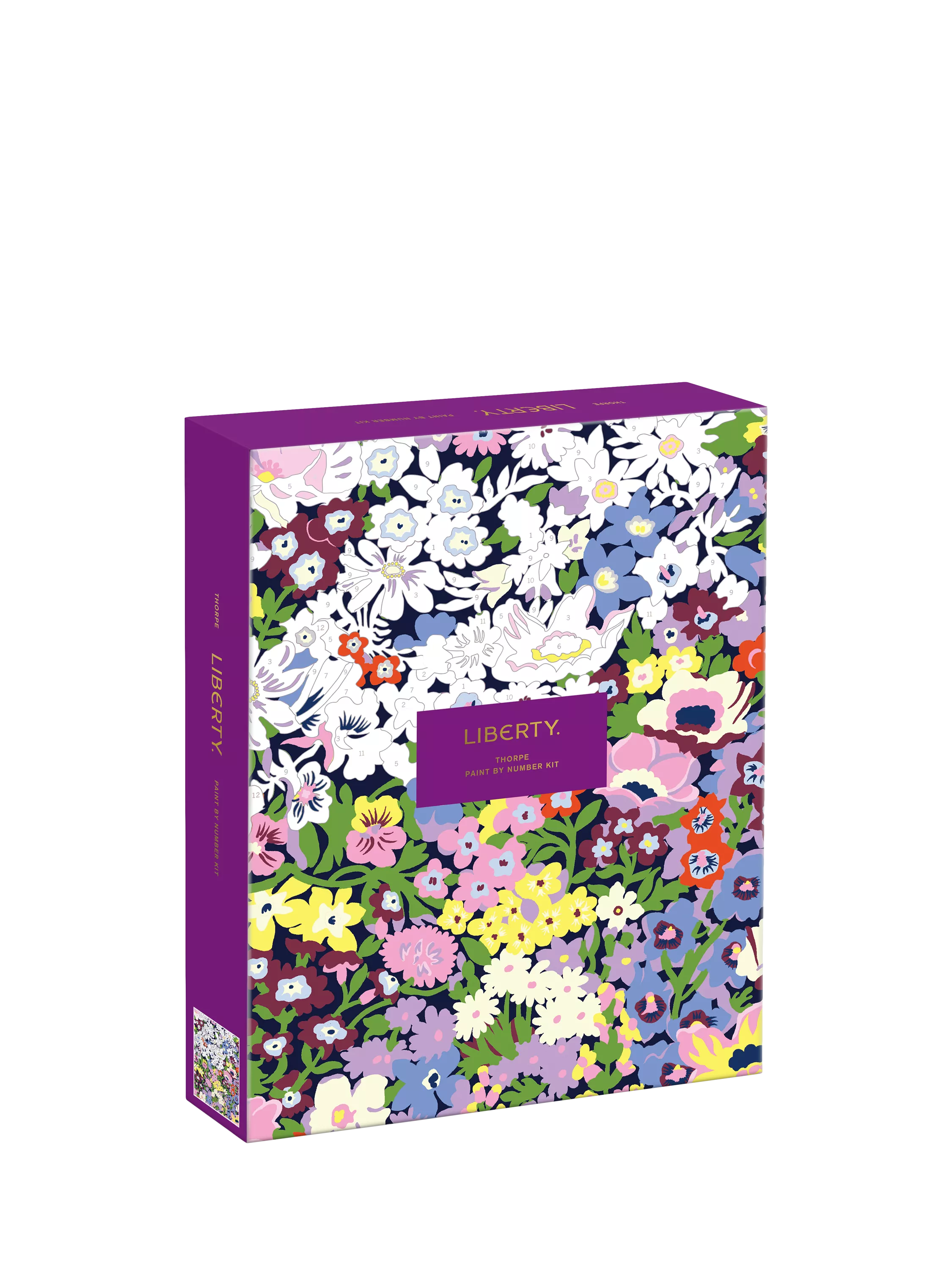 Galison Liberty Thorpe Paint by Numbers Kit - British product