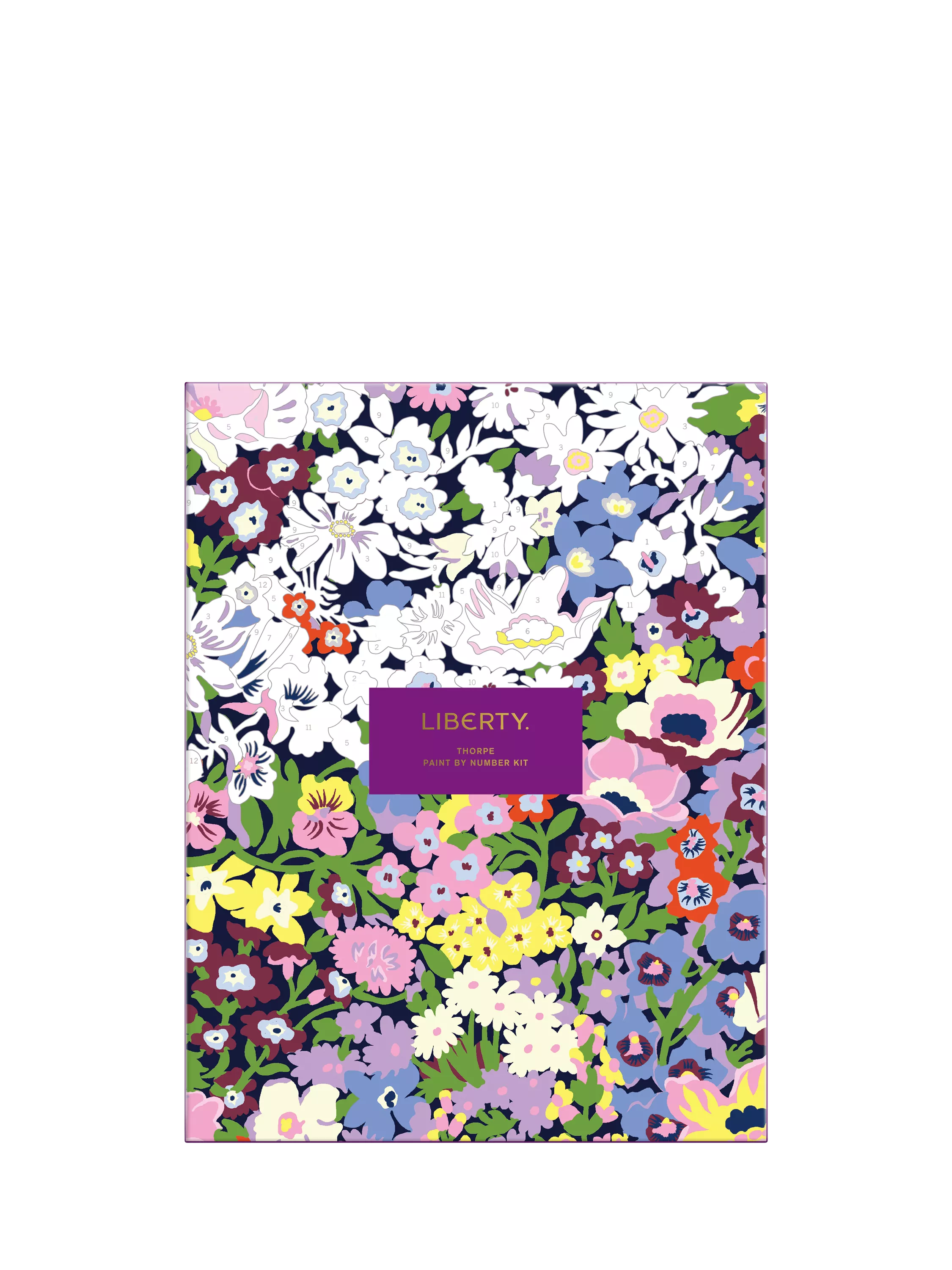 Galison Liberty Thorpe Paint by Numbers Kit - British product