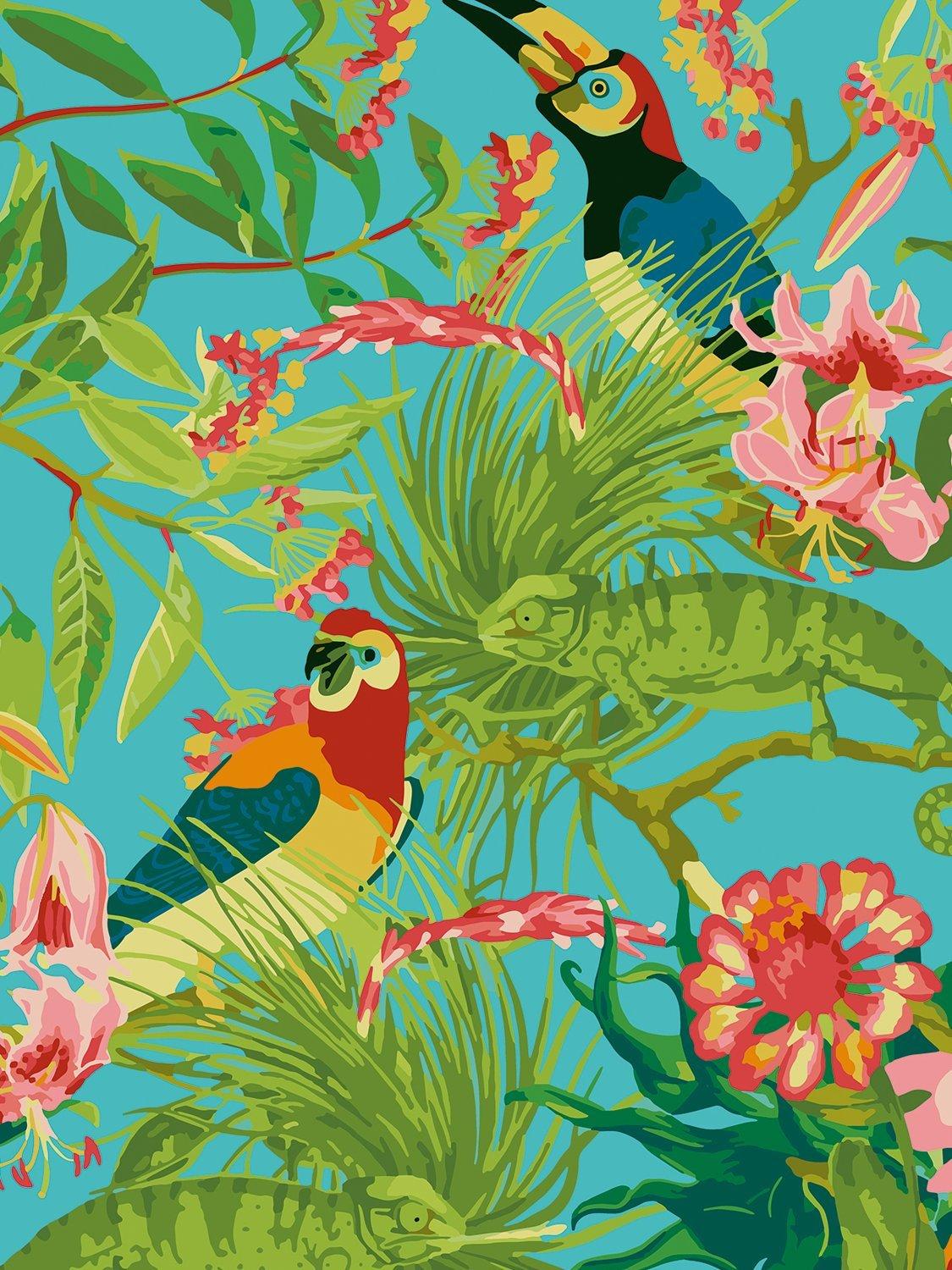 RHS Exotic Birds paint by numbers kit 40x50cm, imported from the UK