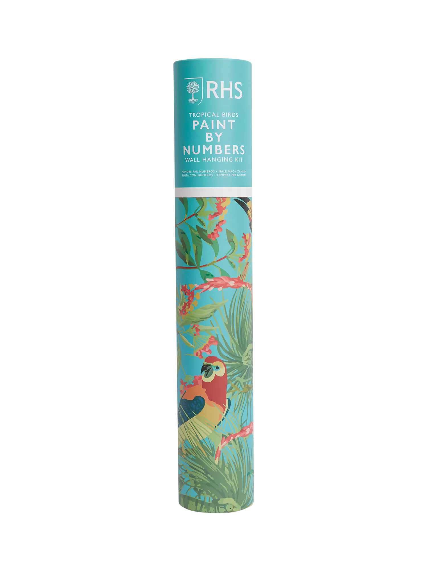 RHS Exotic Birds paint by numbers kit 40x50cm, imported from the UK