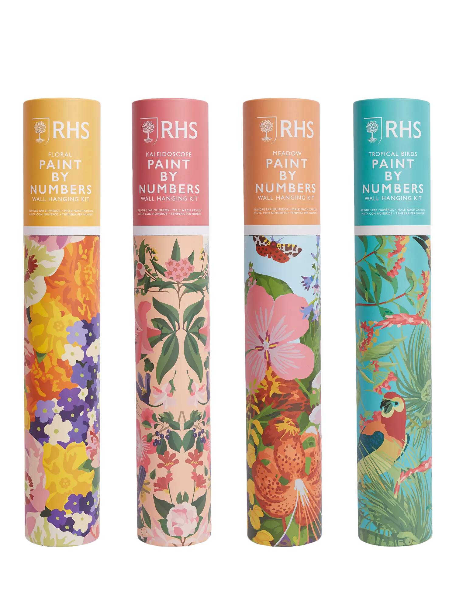 RHS Exotic Birds paint by numbers kit 40x50cm, imported from the UK