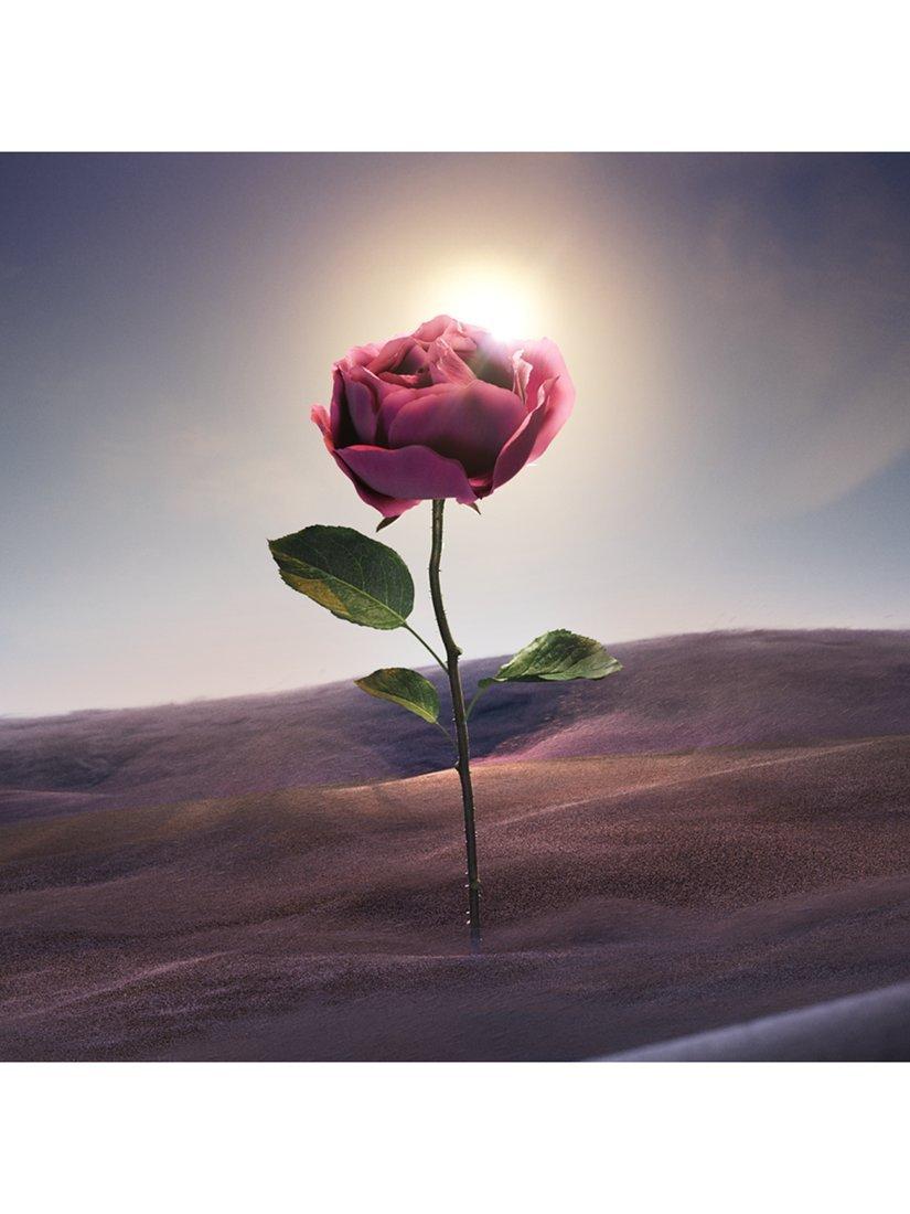 BVLGARI Le Gemme Sahare perfume 125ml, imported from the UK
