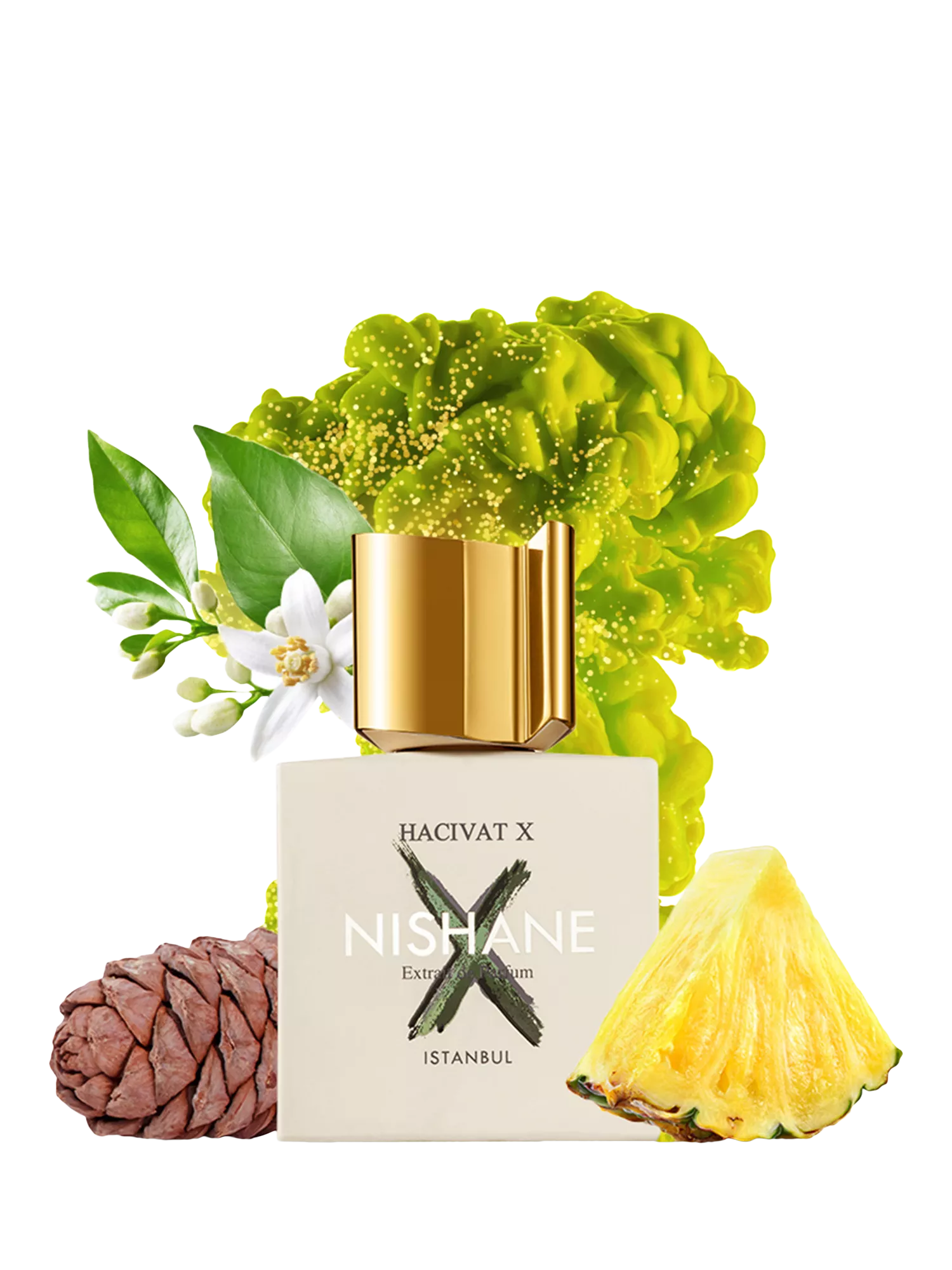 NISHANE Hacivat X extrait de parfum 100ml, UK version