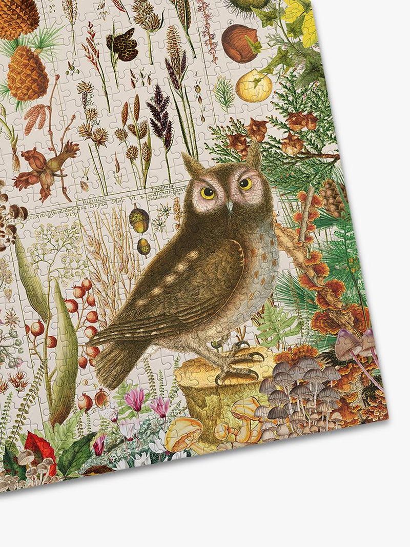 Gibsons RHS Fall Flora Autumn jigsaw puzzle 1000 pieces, UK version