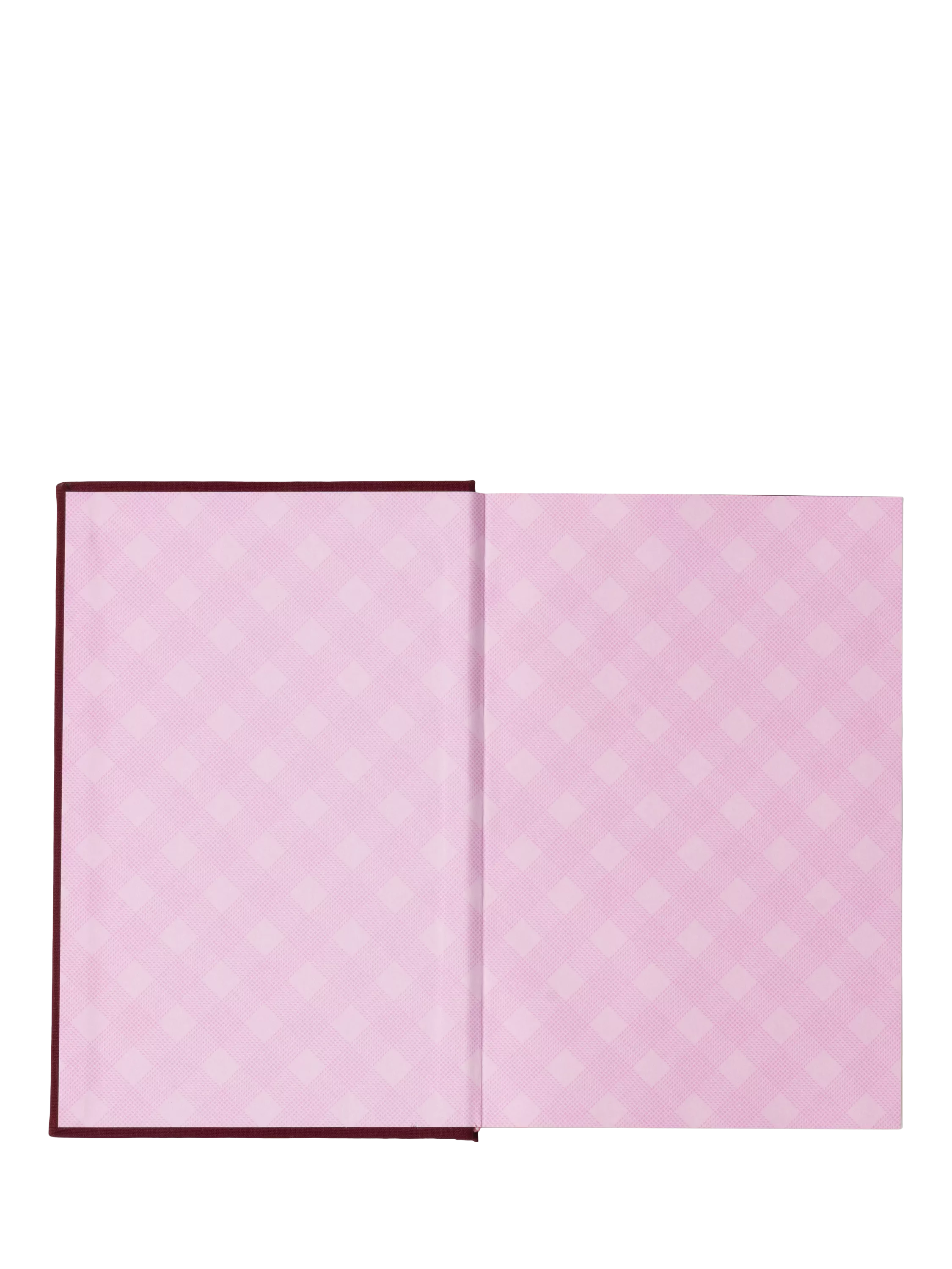 DesignWorks Ink Cook Self Help Journal red (British brand)