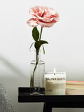 MALIN + GOETZ Otto scented candle 255g (British brand)