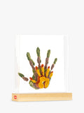 Tiny Love Tiny Creations Family Prints keepsake kit, UK version