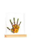 Tiny Love Tiny Creations Family Prints keepsake kit, UK version