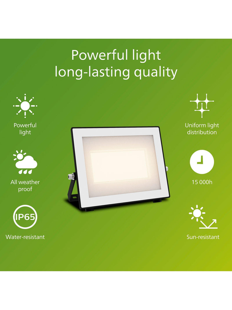 Philips outdoor flood light 50W LED black (British brand)