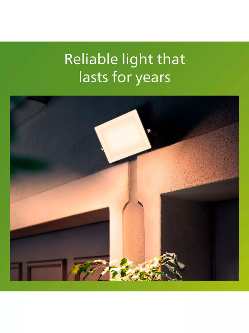 Philips outdoor flood light 50W LED black (British brand)