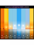 Philips Hue White Ambiance 1100 E27 smart bulb pack (British brand)