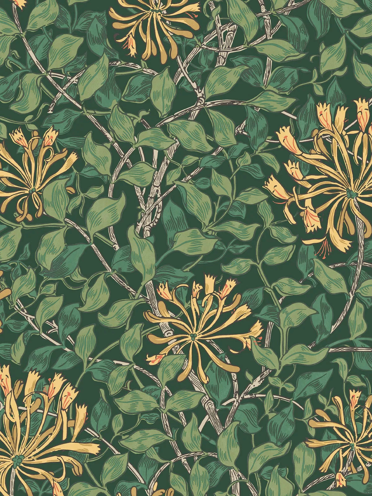 William Morris At Home Honeysuckle Tapete (britische Marke)