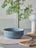 Denby Sky Blue pasta bowls set of 4 22cm, imported from the UK