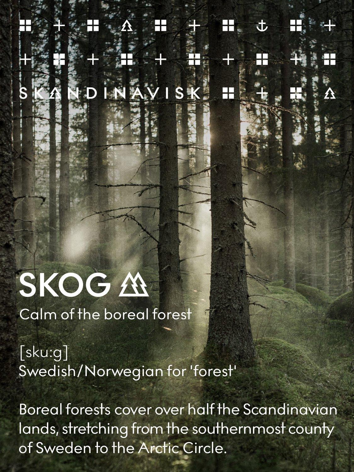 SKANDINAVISK Skog hand lotion 500ml, UK version