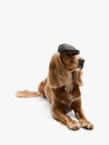 Barbour dog waxed flat cap in green olive (British brand)