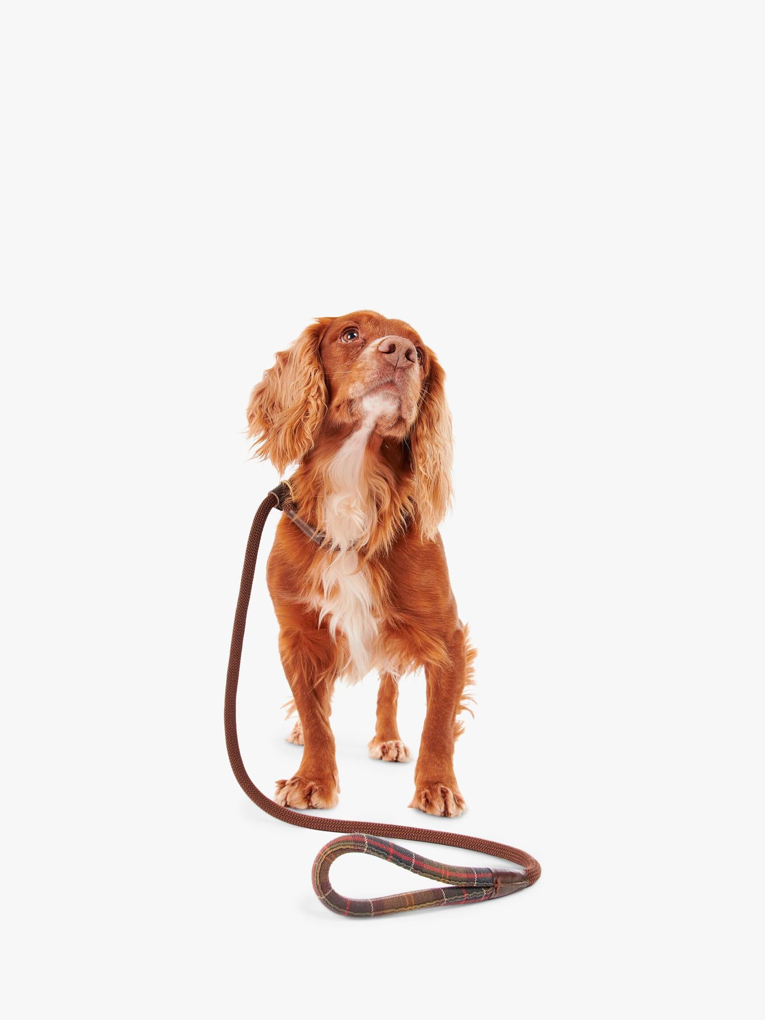 Barbour tartan dog lead with grip slip, brown (British brand)