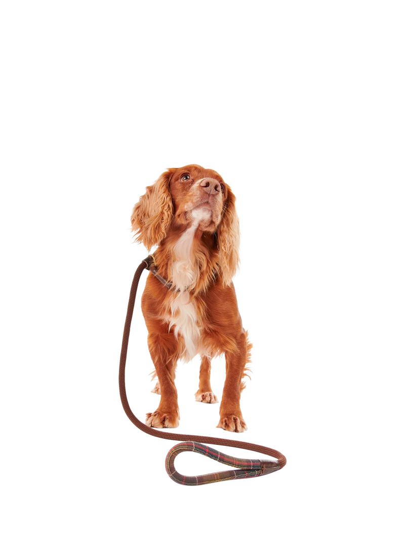 Barbour tartan dog lead with grip slip, brown (British brand)