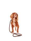 Barbour tartan dog lead with grip slip, brown (British brand)