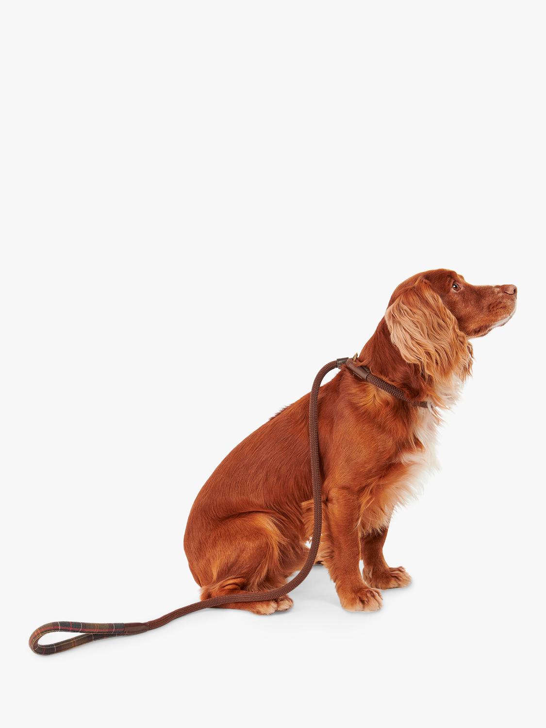 Barbour tartan dog lead with grip slip, brown (British brand)
