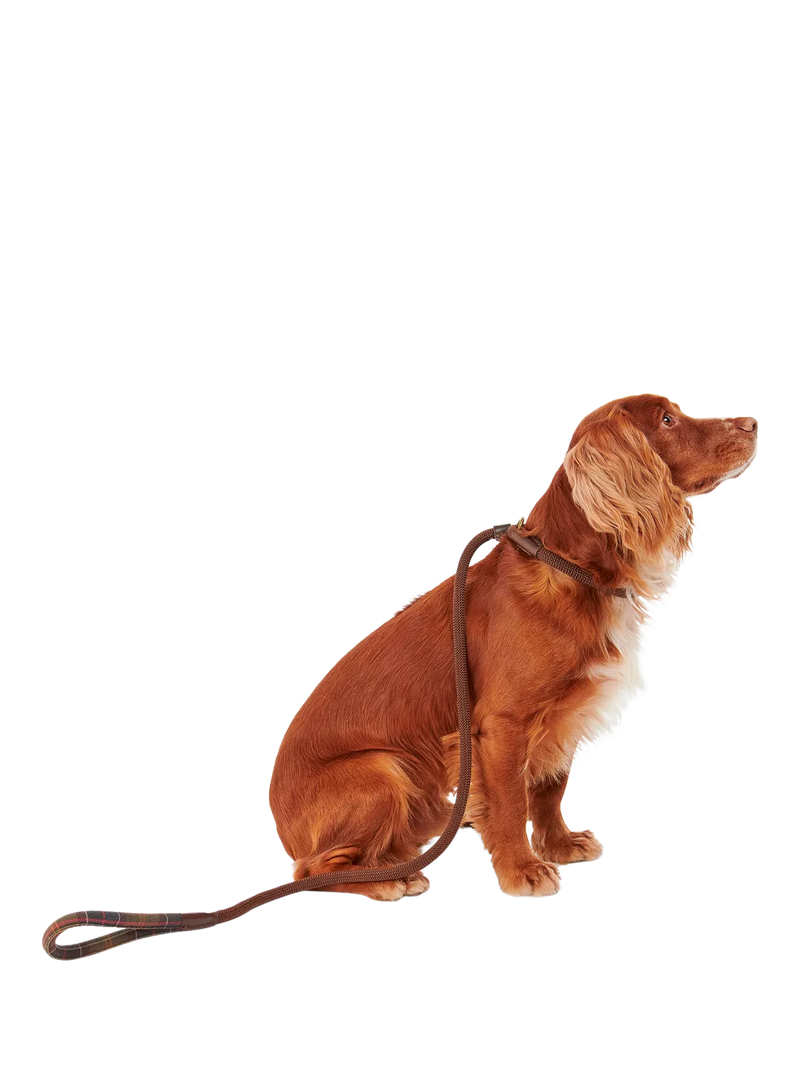 Barbour tartan dog lead with grip slip, brown (British brand)