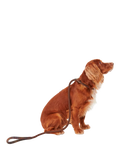 Barbour tartan dog lead with grip slip, brown (British brand)