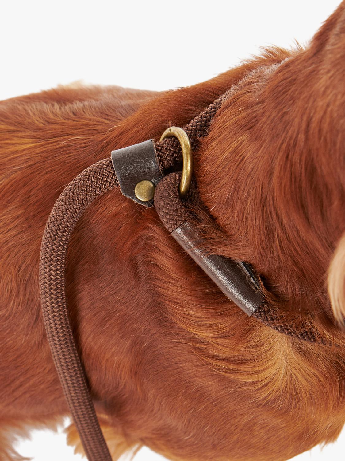 Barbour tartan dog lead with grip slip, brown (British brand)