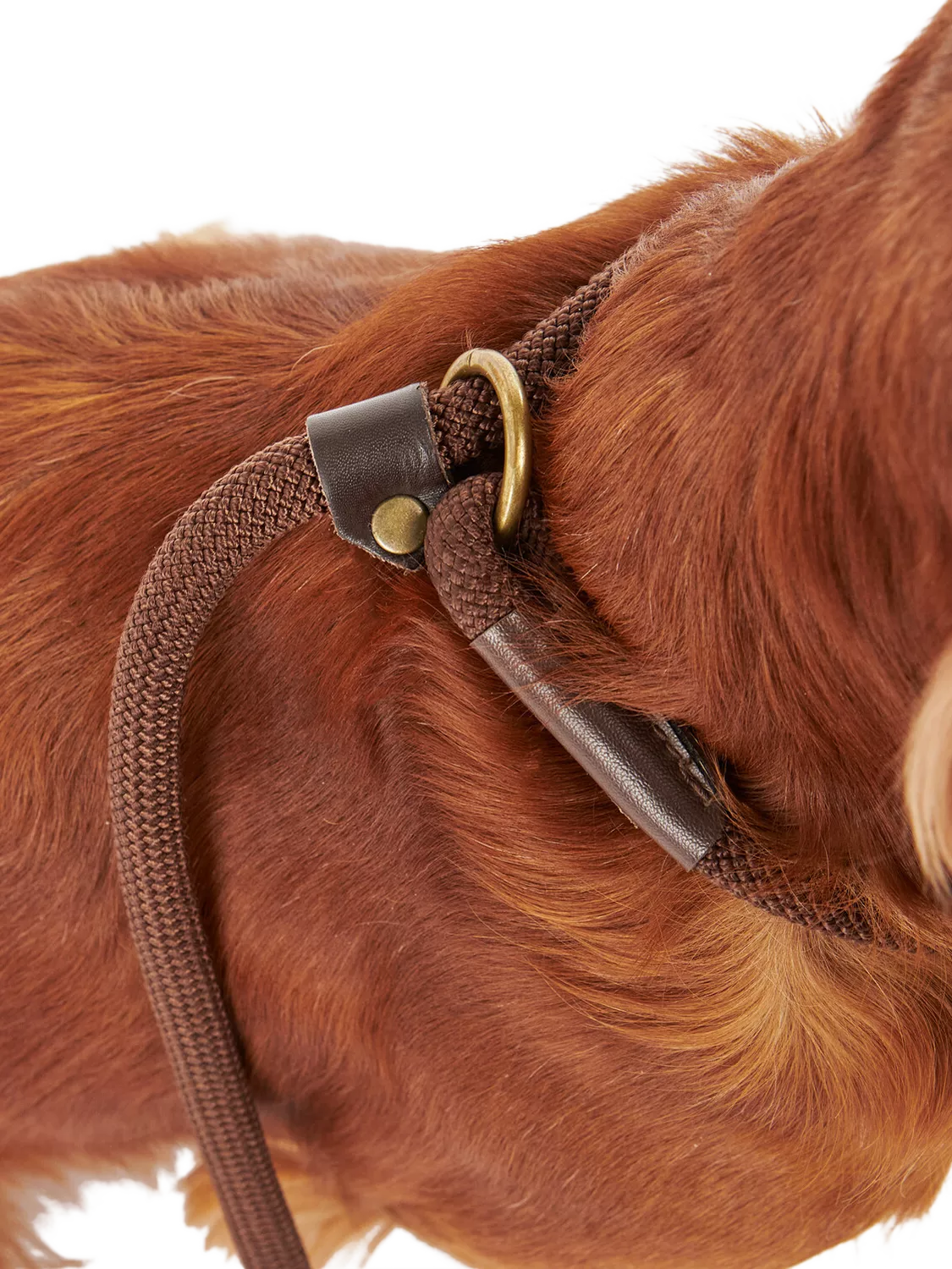 Barbour tartan dog lead with grip slip, brown (British brand)