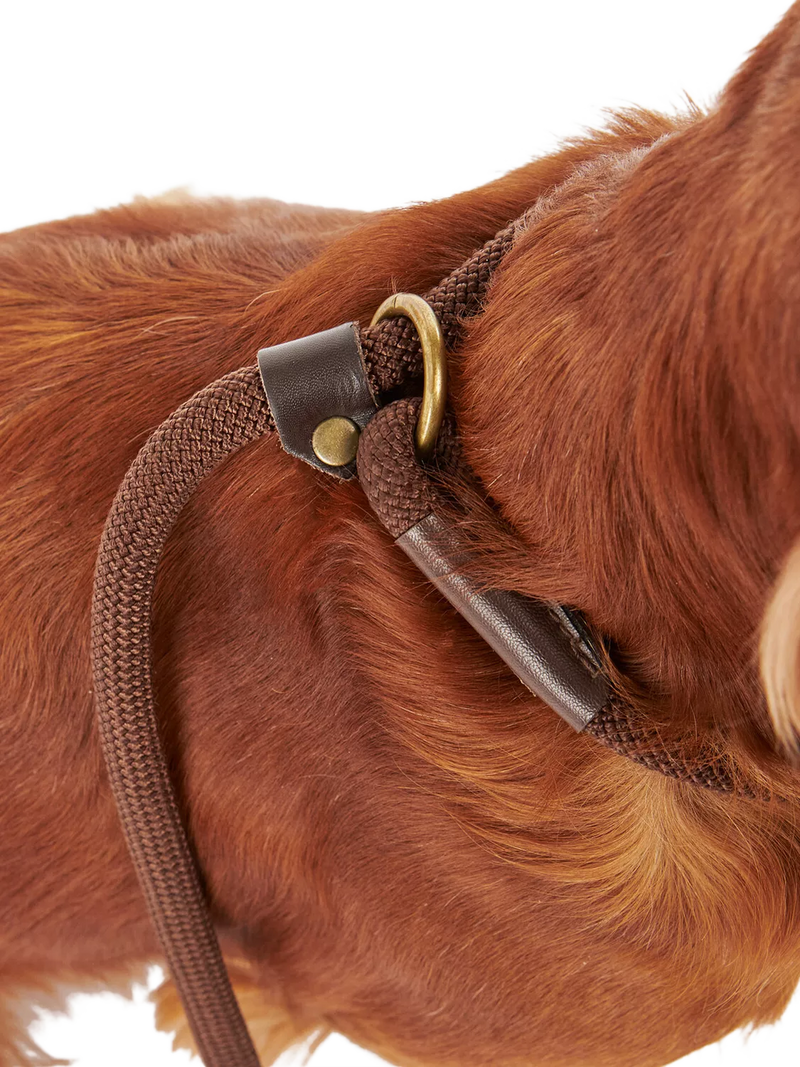 Barbour tartan dog lead with grip slip, brown (British brand)