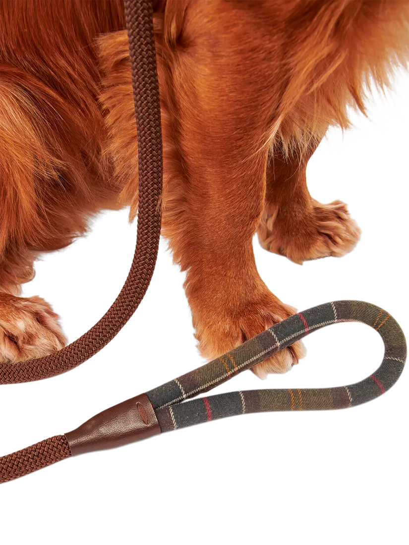 Barbour tartan dog lead with grip slip, brown (British brand)