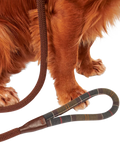 Barbour tartan dog lead with grip slip, brown (British brand)