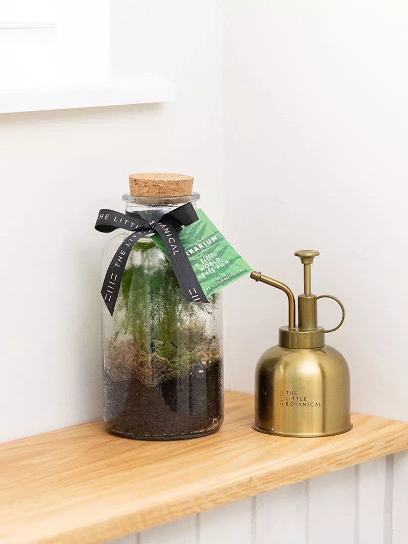The Little Botanical glass terrarium botanical display 12cm (British brand)