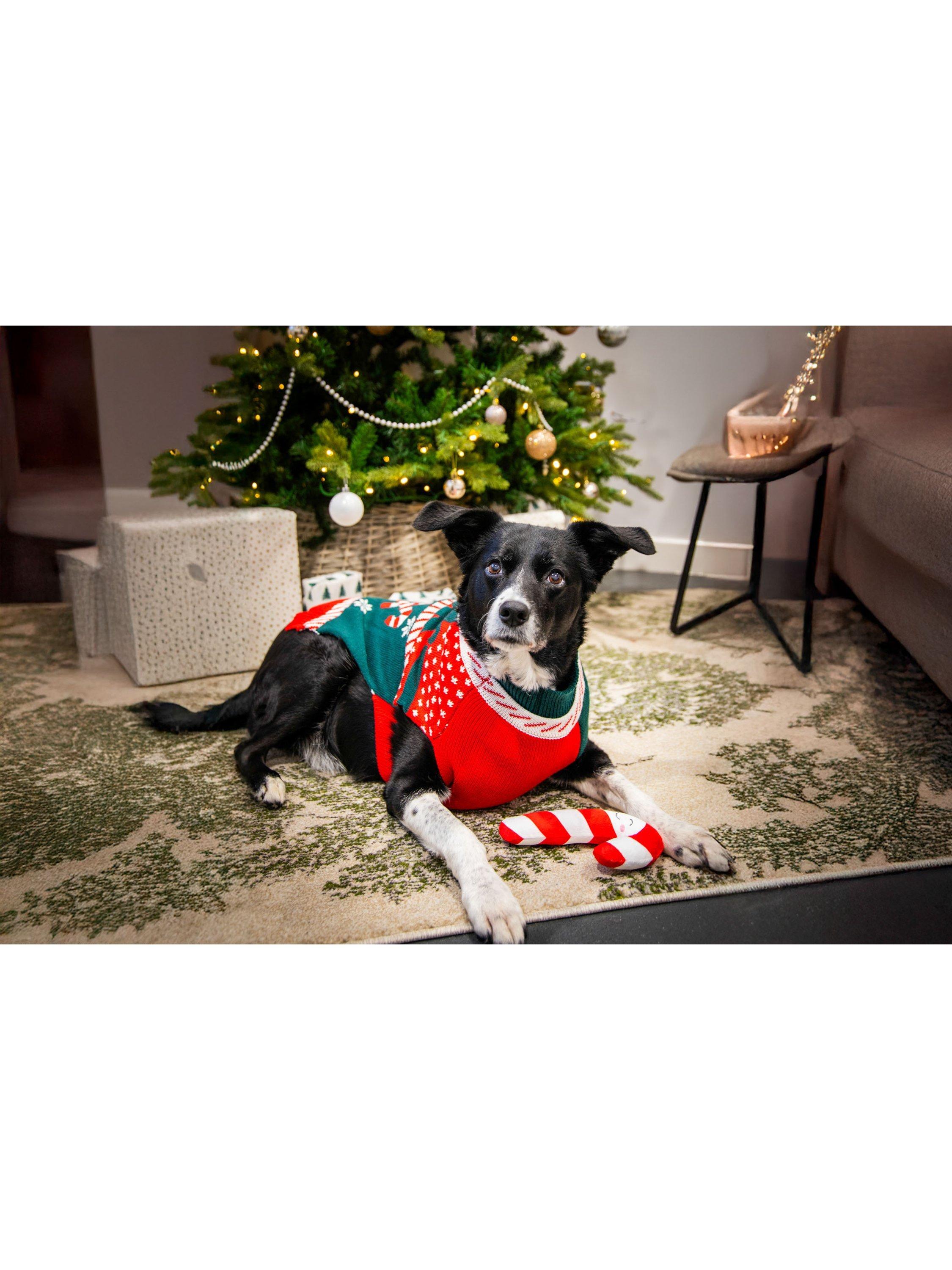 Rosewood Candy Cane dog Christmas gift box medium, UK version