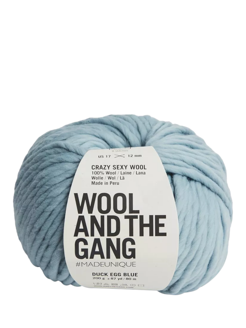 Wool And The Gang Crazy Sexy Wool Super Chunky Yarn 200g