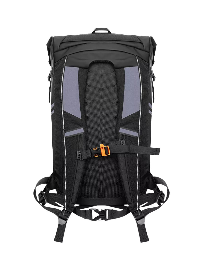 Proviz reflective rolltop backpack silver 30L - British product