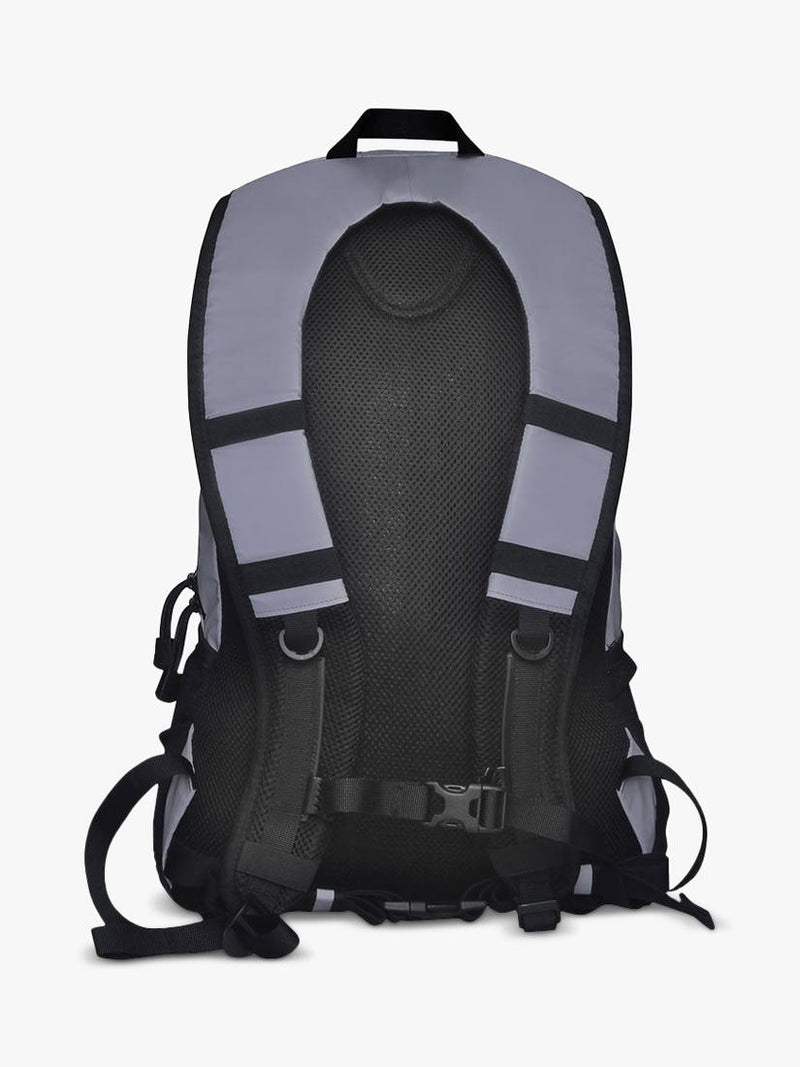 Proviz reflective backpack 30L silver (British brand)
