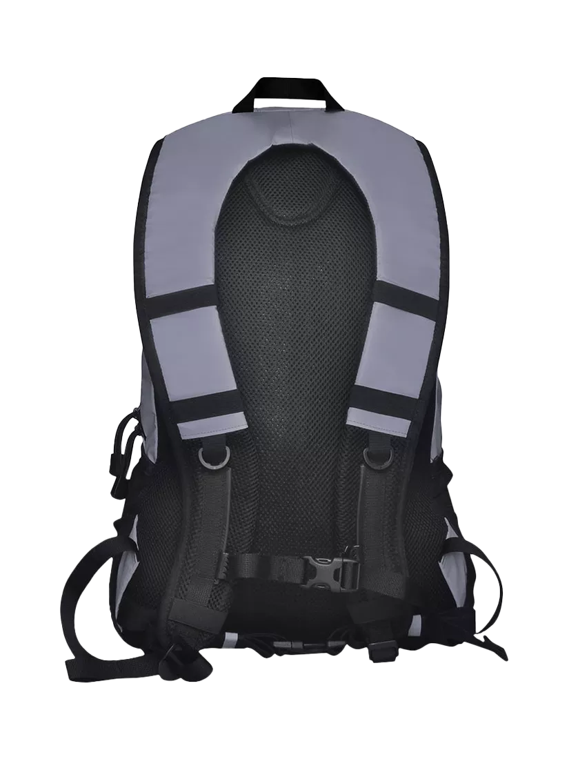 Proviz reflective backpack 30L silver (British brand)