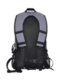 Proviz reflective backpack 30L silver (British brand)