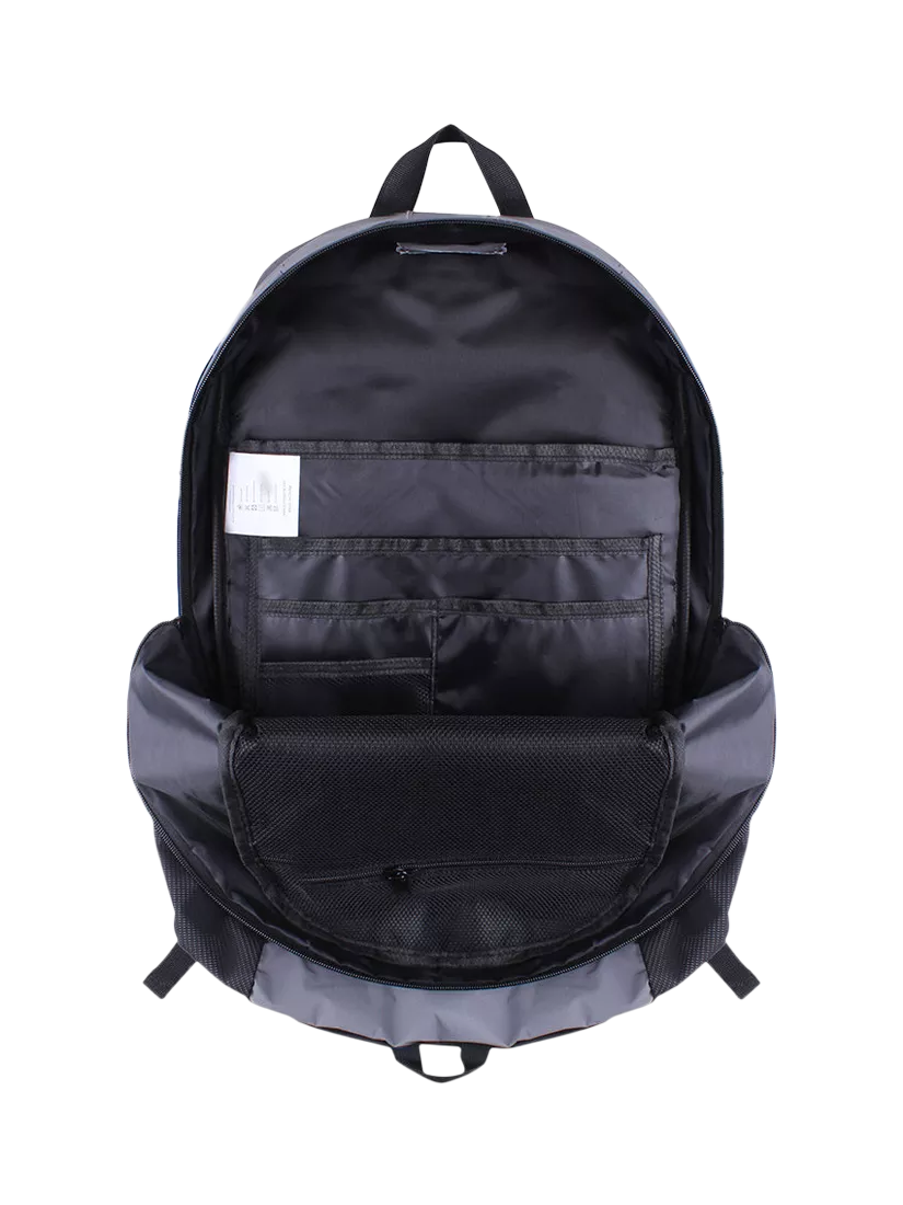 Proviz reflective backpack 30L silver (British brand)