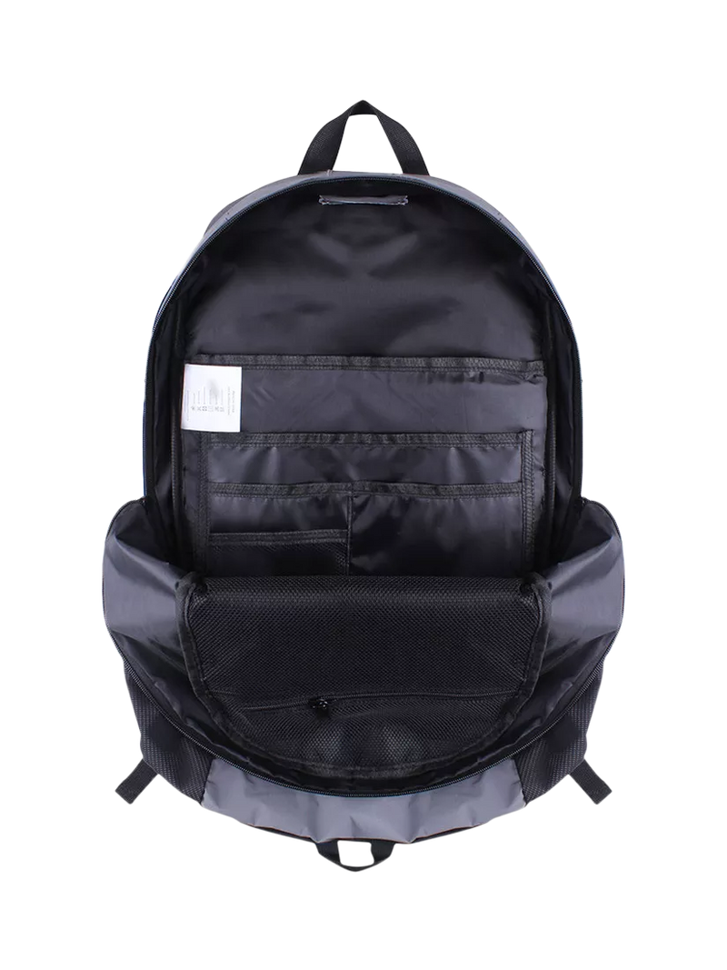 Proviz reflective backpack 30L silver (British brand)