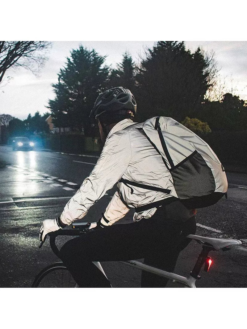 Proviz reflective backpack 30L silver (British brand)