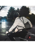 Proviz reflective backpack 30L silver (British brand)