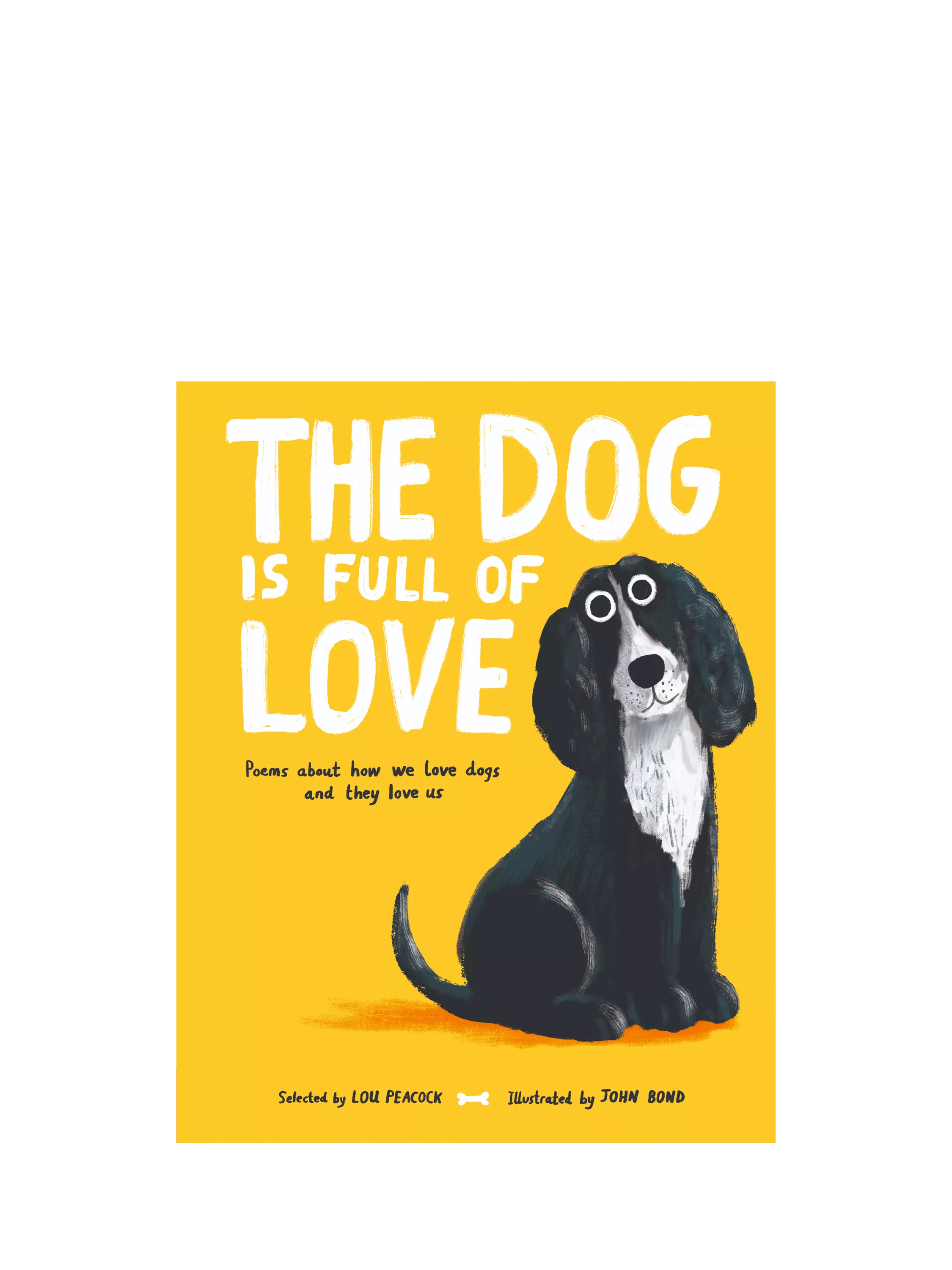 Nosy Crow kids poetry book The Dog is Full of Love - British product