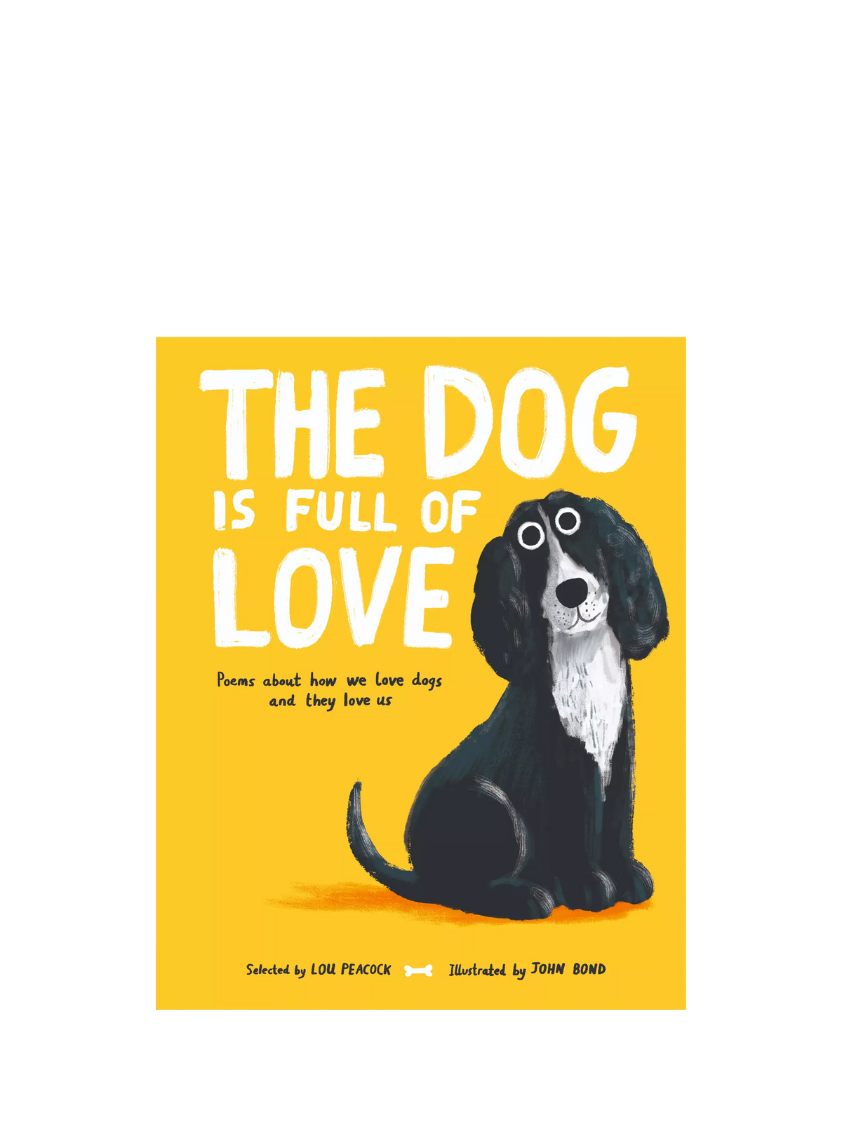 Nosy Crow kids poetry book The Dog is Full of Love - British product