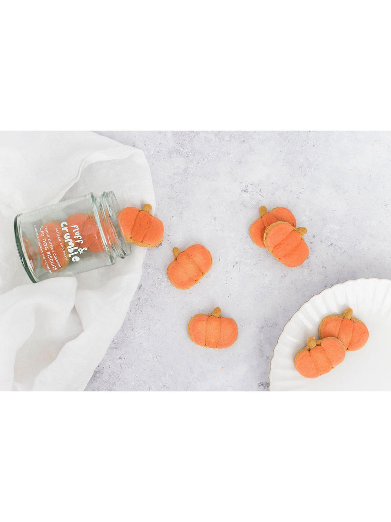 Fluff & Crumble pumpkin dog biscuits jar (British brand)