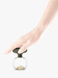 Eva Solo Green Tools garlic masher, imported from the UK
